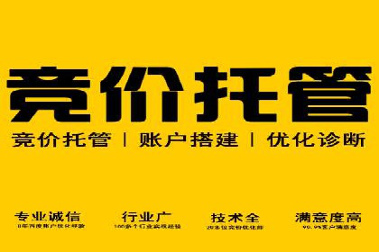 百度竞价排名案例分析：提升网站流量与转化率